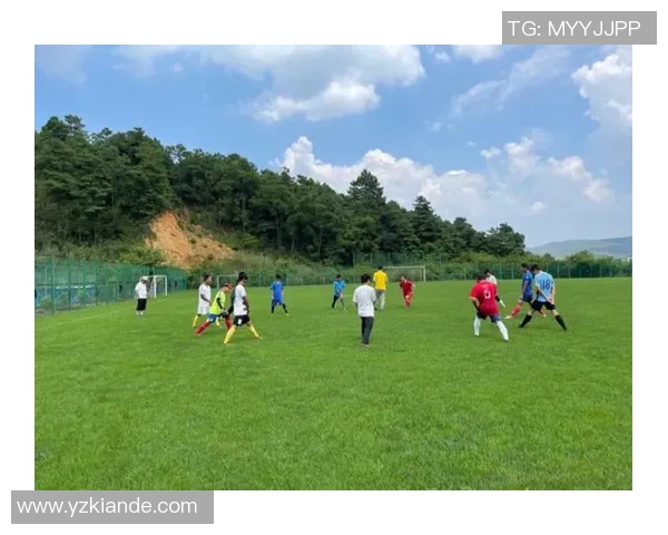 足坛外号野兽的传奇之路揭示力量与激情并存的绿茵场故事